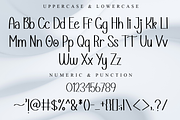 Nurse, a Script Font by FreshTypeINK (Thumbnail 6 of 8)