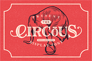 The Circous, a Font by 24Design Studios (Thumbnail 1 of 9)