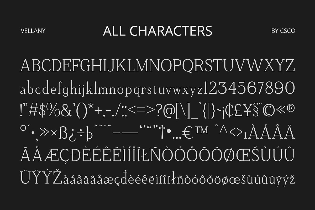 Vellany – Serif Typeface, a Serif Font by Craft Supply Co. (Photo 8 of 8)