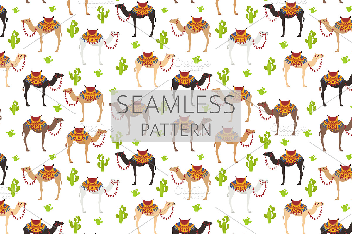 Arabian camel Dromedary clip art, an Animal Illustration by pet design shop (Photo 4 of 5)