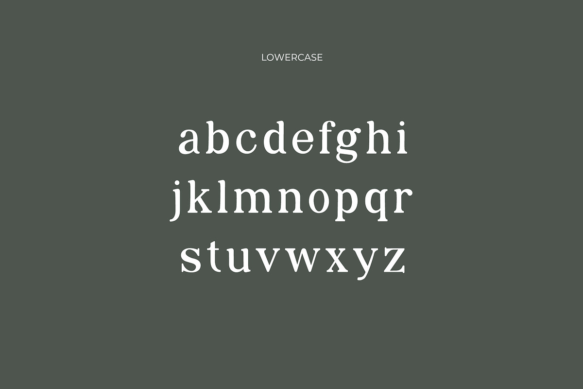 Catelyna Modern Serif Font, a Serif Font by UICreative (Photo 6 of 12)