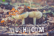 mushroom pack, a Templates & Theme by ApertureVintage (Thumbnail 1 of 4)