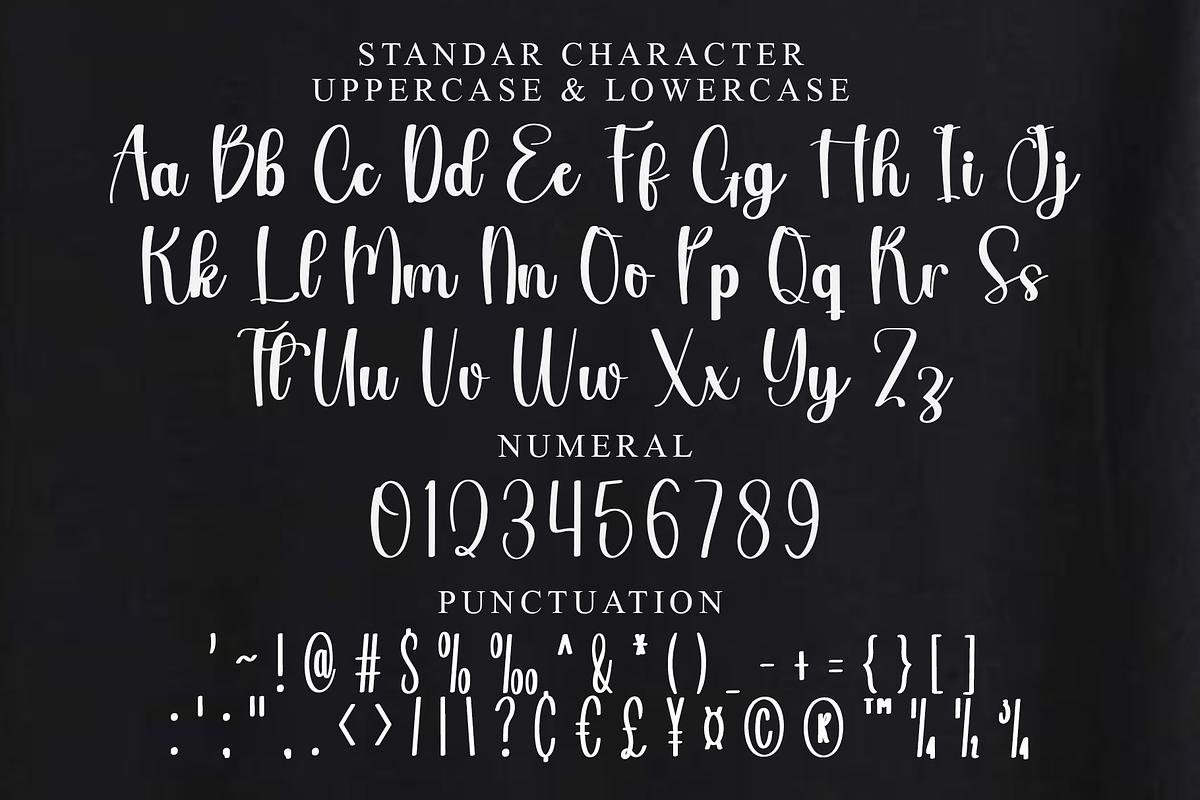 Shopia Calligraphy, a Handwritten Font by InermediaSTUDIO (Photo 7 of 8)