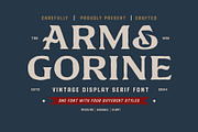 Arm & Gorine - Vintage Display Serif, a Serif Font by Illustraly Design (Thumbnail 1 of 8)