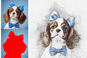 Pencil Sketch Maker, an Action Add-On by MRI STUDIO (Thumbnail 6 of 28)