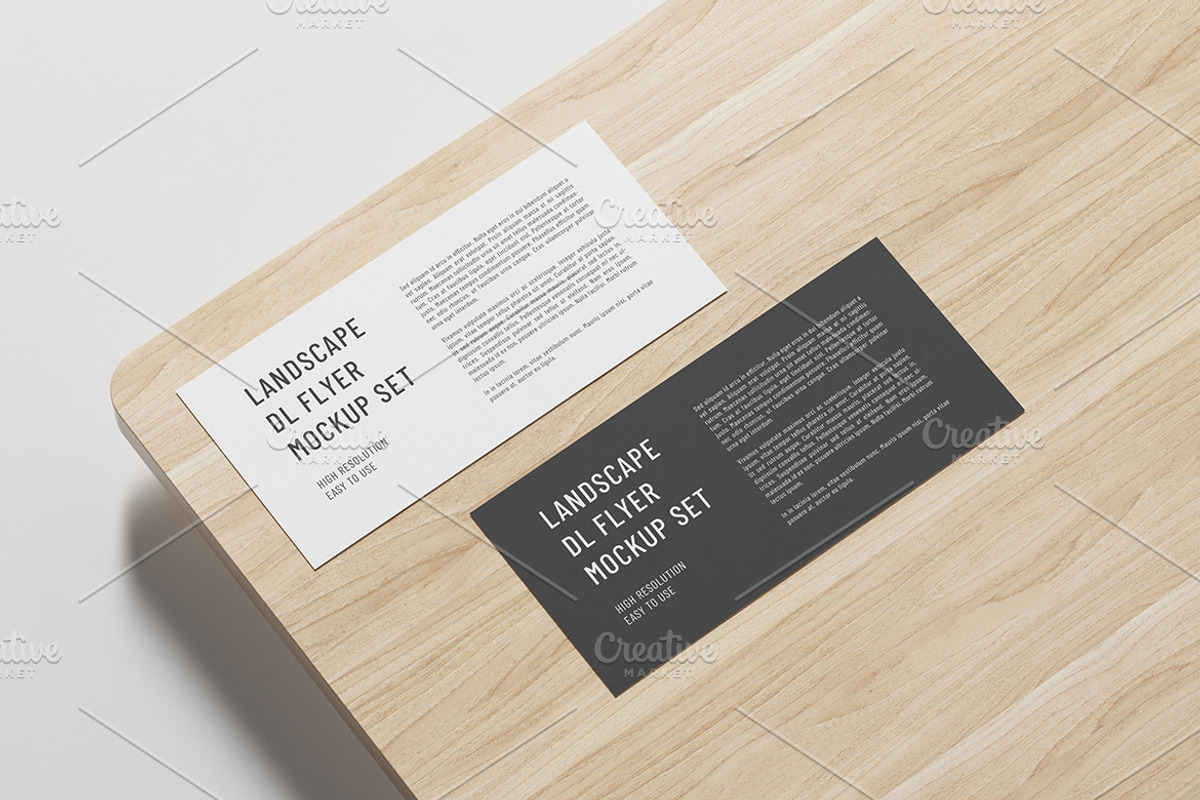 DL Landscape Flyer Mockup Set, a Product Mockup by professorinc (Photo 5 of 5)