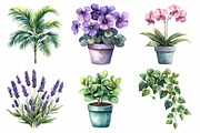 Watercolor Home Plants Clipart, an Illustration by Daily.Designs (Thumbnail 5 of 8)