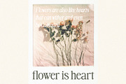 Greatdesk Serif Typeface, a Serif Font by Violet Natural (Thumbnail 4 of 14)