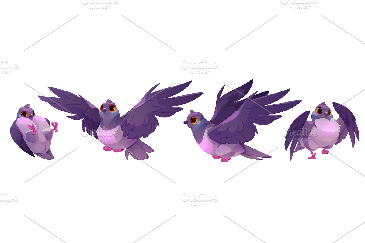 Pigeon bird characters set on white, an Animal Illustration by art PVP - market