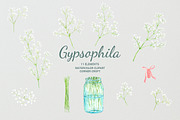 Watercolor Gypsophila Baby's Breath, an Illustration by Corner Croft (Thumbnail 4 of 7)