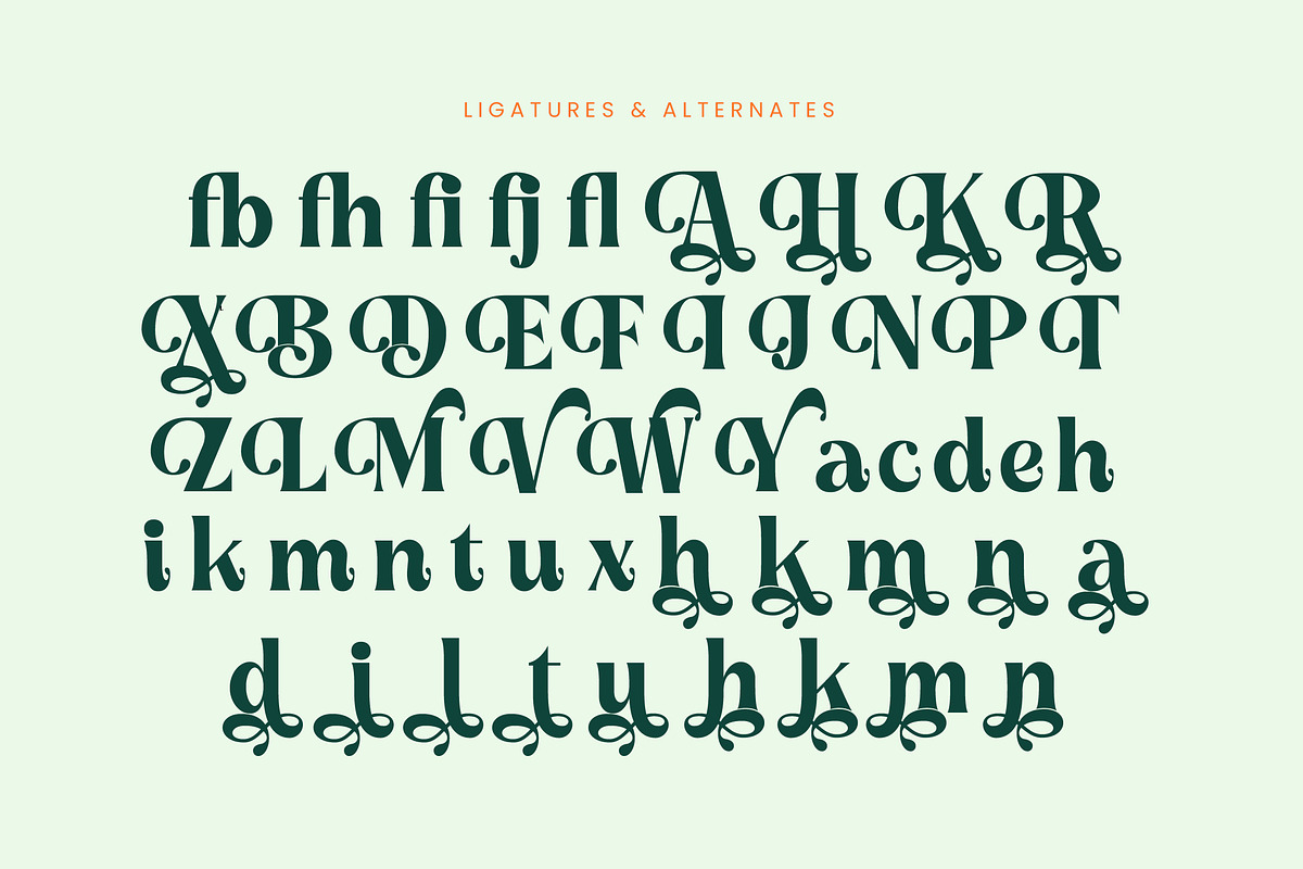 Myngo Bakery Modern Serif Font, a Serif Font by timelesstype.co (Photo 18 of 20)