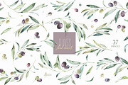 Olives. Watercolor Collection, a Decorative Illustration by OctopusArtis (Thumbnail 14 of 17)