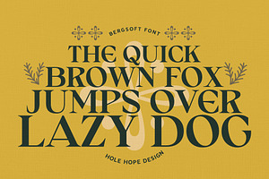 Bergsof Elegant Classic Font