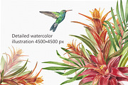 Tropic flower watercolor clip art, a Decorative Illustration by Nastya Che (Thumbnail 6 of 9)