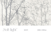 Shadows – wall mural collection, a Wallpaper Graphic by Timofi Art (Thumbnail 4 of 17)