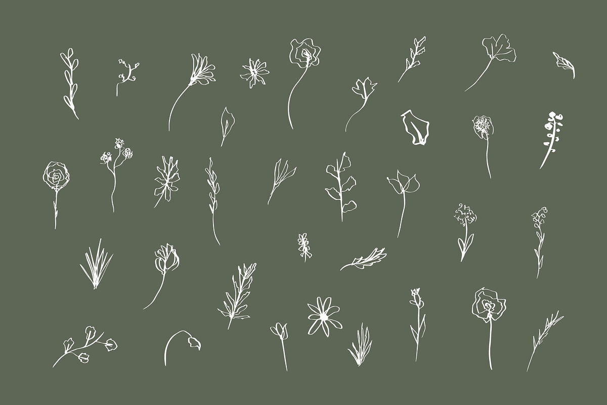 Floral Botanical Plant Illustrations, an Icon by CreativeWilderness (Photo 2 of 11)