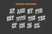 HF Lonehope Western Slab Serif, a Serif Font by 24Design Studios (Thumbnail 7 of 7)