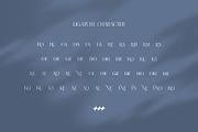 RONICA Modern Display Serif, a Serif Font by Alfinart (Thumbnail 5 of 10)