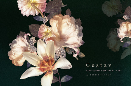 Digital Floristry - Gustav