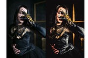 Black Gold 12 Lr presets preview 2