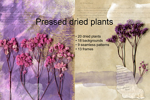 Violet Botanica Collection.