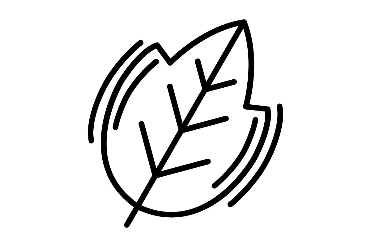 Leaf Line Icon, an Icon by Pexelpy (Photo 1 of 2)