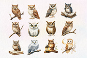 Vintage Owl Clipart, an Illustration by Dream Creation (Thumbnail 4 of 5)