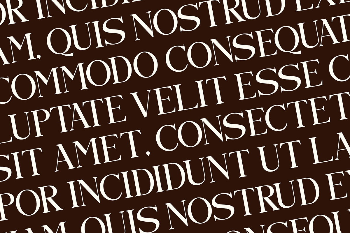 Qelvoria - Modern Serif Font, a Serif Font by Rishsketch (Photo 11 of 15)