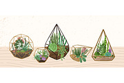 Florarium composition, a Decorative Illustration by Good Studio (Thumbnail 1 of 3)