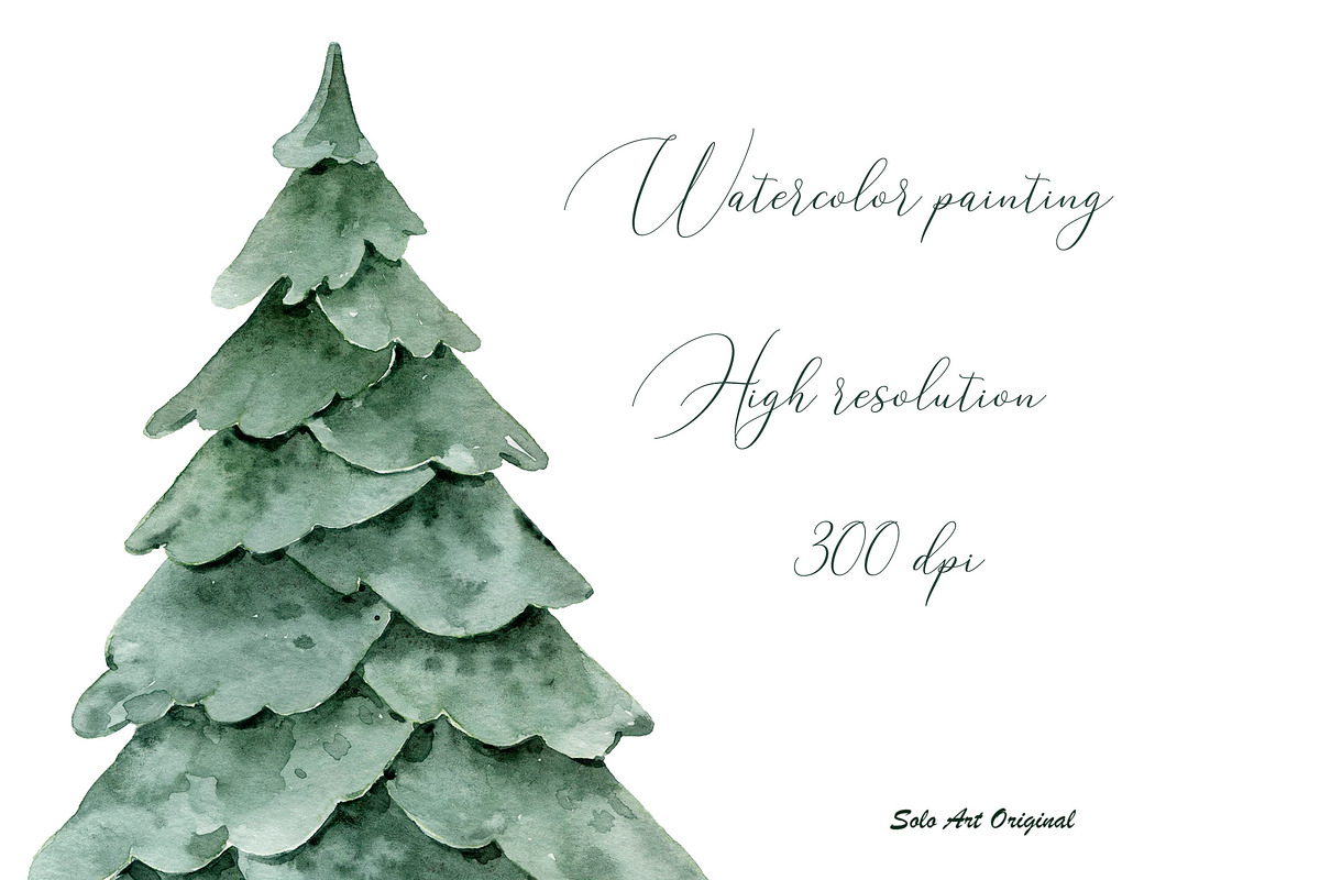 Woodland Landscape Spruce trees, an Illustration by Solo Art Original (Photo 8 of 9)