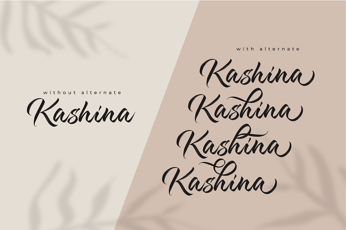 Kashina Brush Script, a Script Font by Debut Studio (Photo 7 of 9)