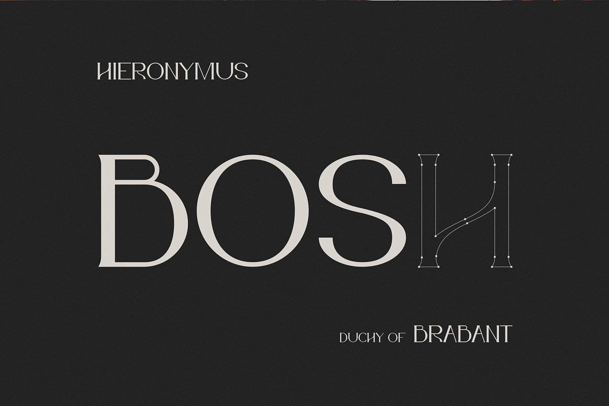 Bosch Display Font, a Serif Font by iframe fonts (Photo 12 of 14)