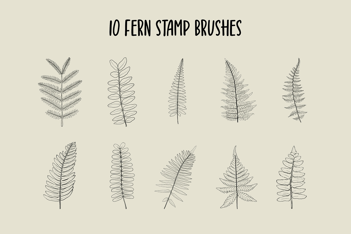 Fern And Eucalyptus Procreate Stamps, a Brush Add-On by Little Nordic Atelier (Photo 2 of 4)