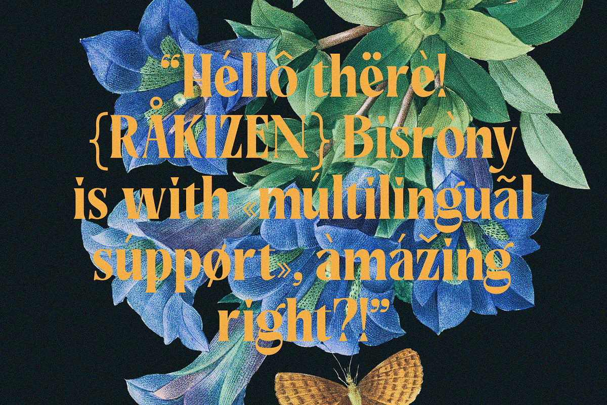 Rakizen Bisrony — Modern & Classic, a Serif Font by Enxyclo Studio (Photo 22 of 23)