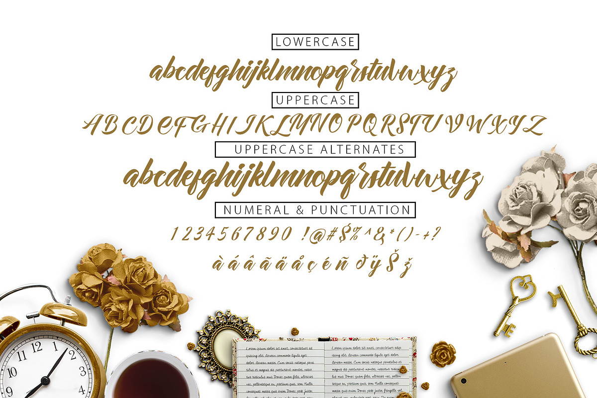 Allita Script preview 5