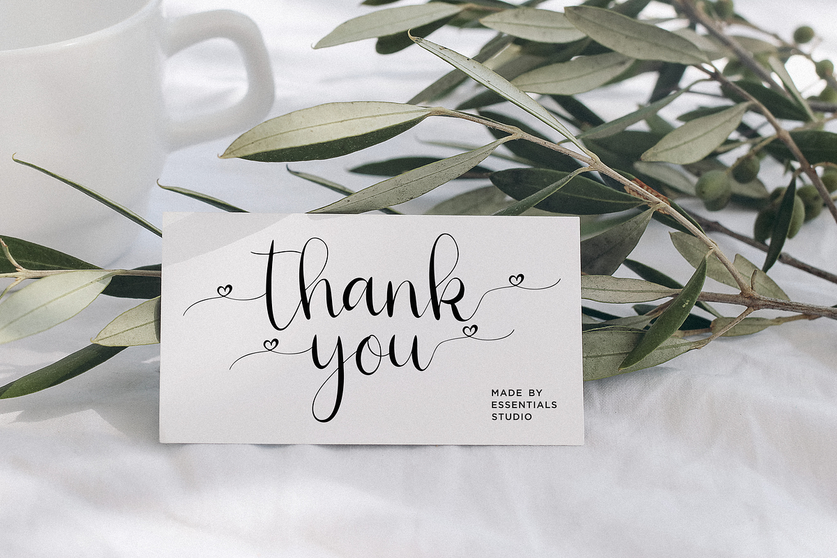 Nicola Aquine, a Script Font by Essentials Studio (Photo 8 of 8)