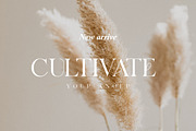 Fleurie | Modern Stylish, a Serif Font by Muntab_Art (Thumbnail 3 of 7)
