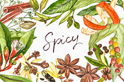 Star anise, Cinnamon, Cardamon, a Food Illustration by Ann Astro (Thumbnail 1 of 6)