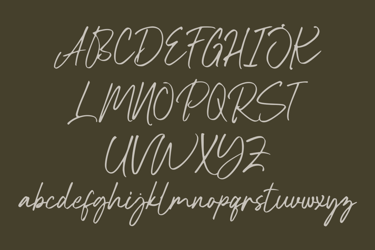 Baleono - Script Font, a Handwritten Font by GFRcreative (Photo 6 of 8)