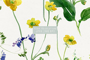 Summer Feel. Watercolor Set, a Pattern Graphic by Irina Dolgikh (Thumbnail 9 of 16)