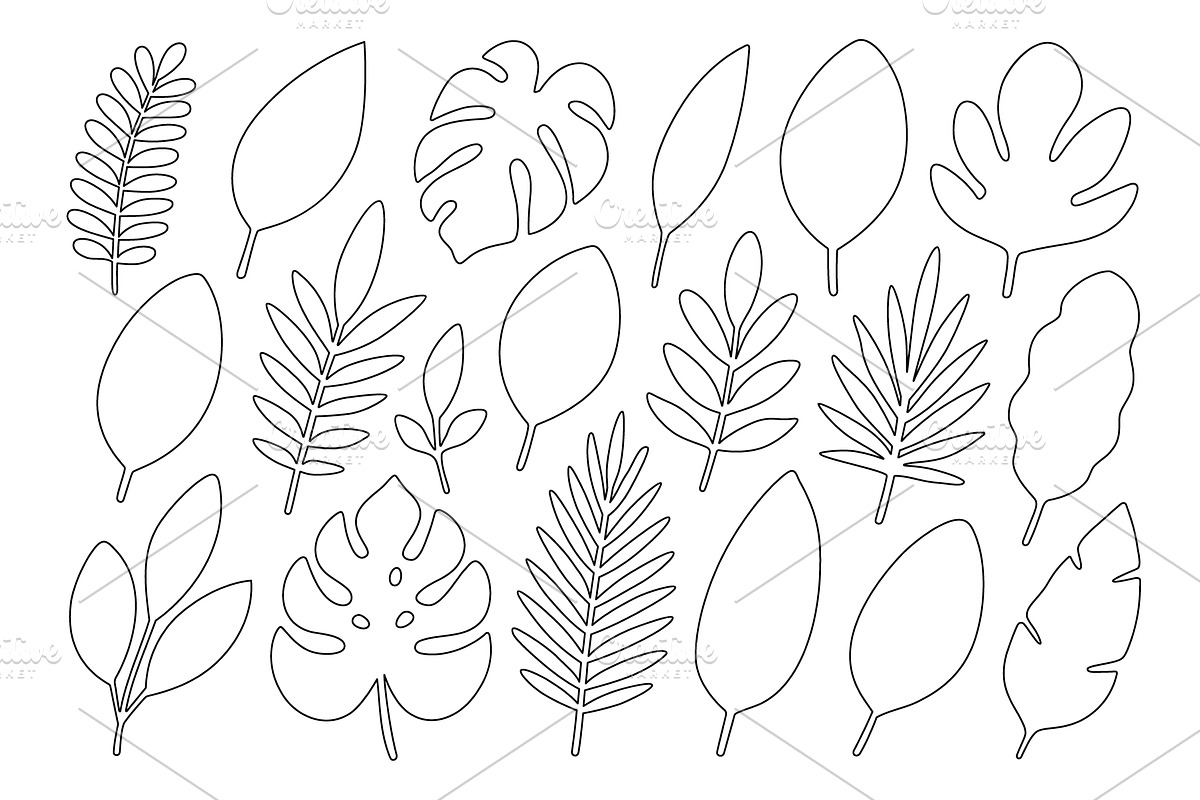 Outline vector collection of, an Illustration by GraphiShop
