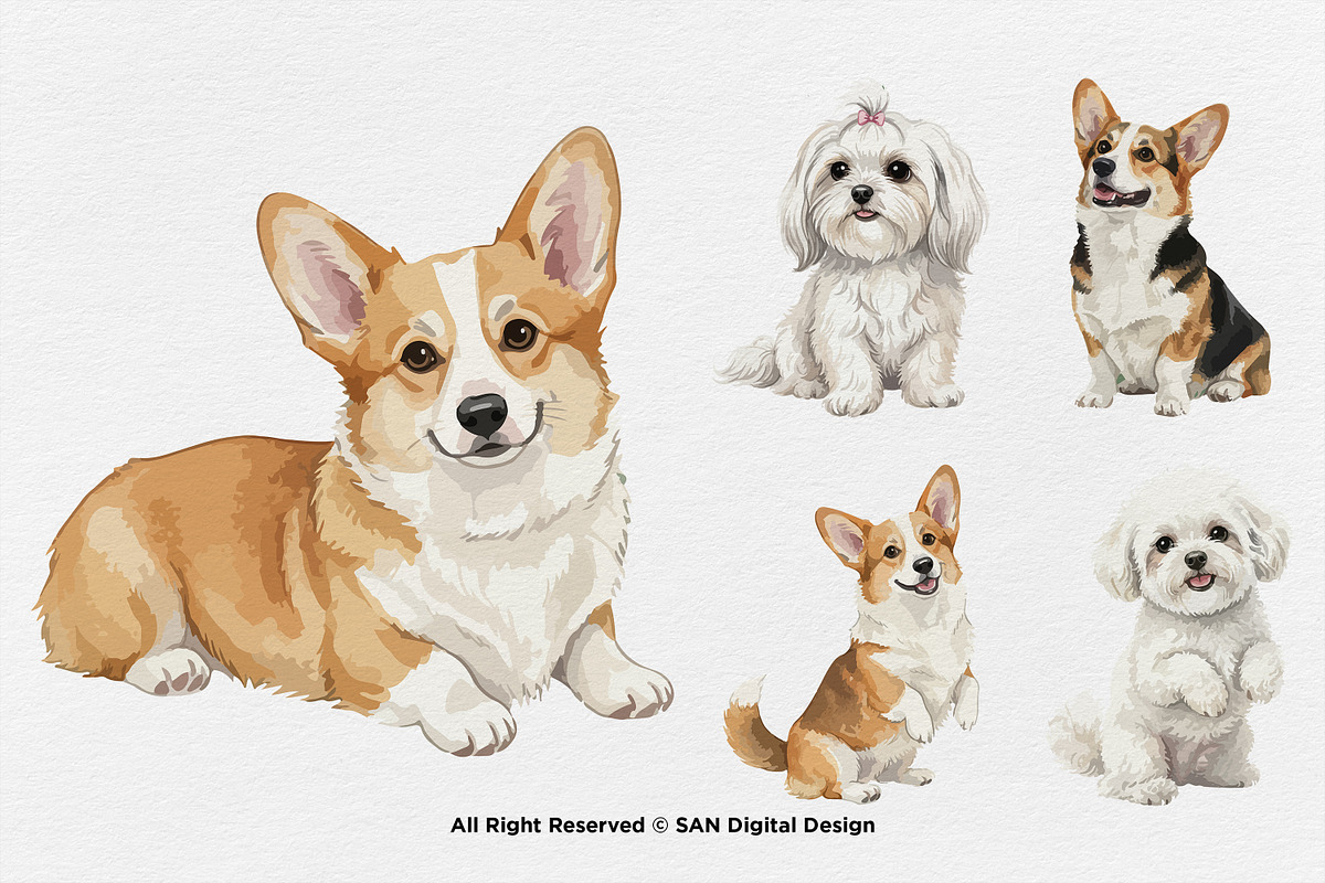 15 Bundle Watercolor Small Dog Pet, an Animal Illustration by Morspective (Photo 5 of 8)