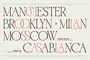GC Ballerina - Stylish Serif Italic, a Serif Font by Glyphonic (Thumbnail 5 of 15)