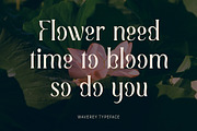 Waverey – Luxury Serif Display Font, a Serif Font by MERCI STUDIO (Thumbnail 2 of 8)
