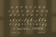 Palmyra Script Font, a Script Font by Graphicxell (Thumbnail 8 of 8)