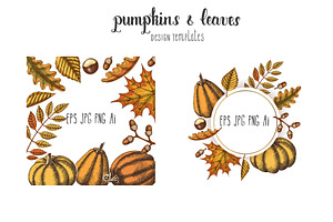 Pumpkins And Leaves Set