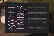 Medish - Modern Elegant Sans Serif, a Sans Serif Font by timelesstype.co (Thumbnail 4 of 15)