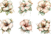 Watercolor Hibiscus Flowers Clipart, an Illustration by Designking (Thumbnail 4 of 5)