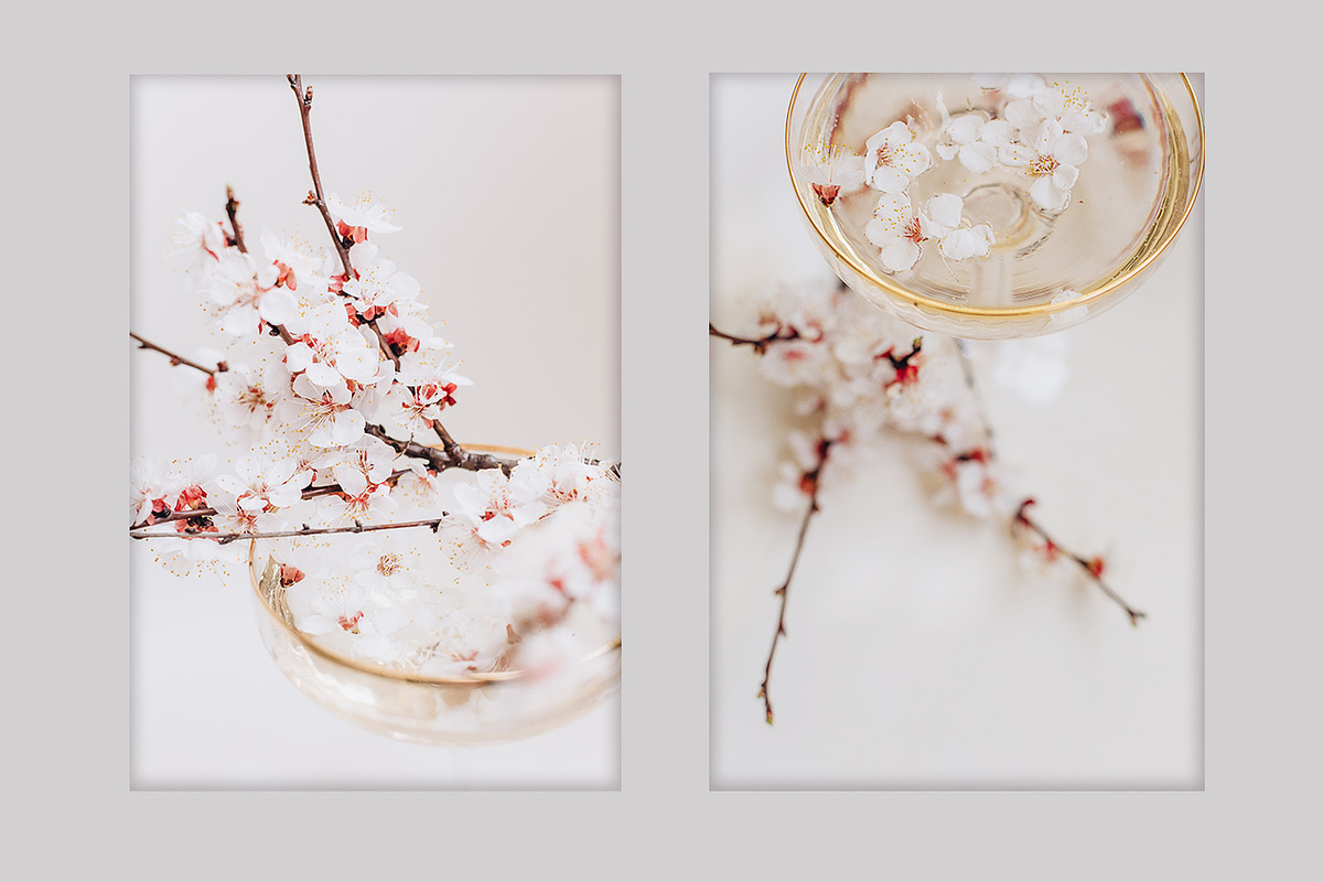 Spring Blossom Bundle, a Nature Photo by akovtun (Photo 6 of 6)