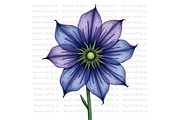 Monkshood Blooms, a Decorative Illustration by Bloom Craft Creations (Thumbnail 2 of 12)